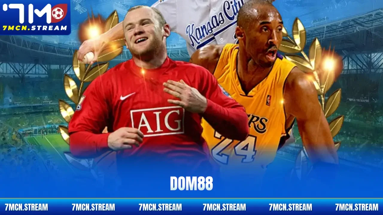 Dom88